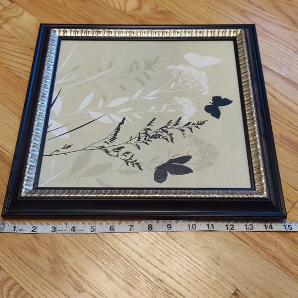 Butterfly nature picture - Picture 4 of 8